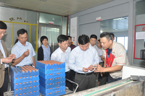 廣晟公司董事長朱偉調(diào)研風(fēng)華自主創(chuàng)新工作