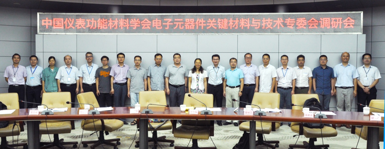 中國儀表功能材料學(xué)會電子元器件關(guān)鍵材料與技術(shù)專委會蒞臨風(fēng)華高科調(diào)研交流