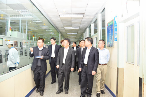 廣晟公司陳勝光總經(jīng)理帶隊赴風(fēng)華高科檢查督導(dǎo)環(huán)保安全工作